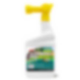 Household Products that Can Kill Pests · ExtermPRO