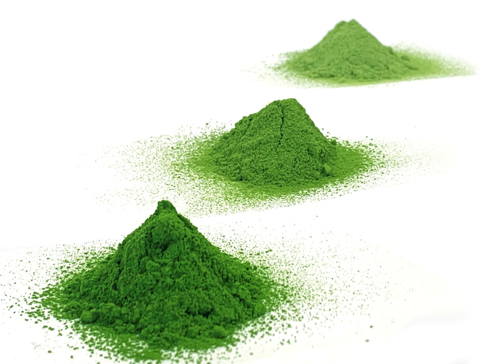 Unlocking the World of Matcha - Understanding the Different Matcha Grades