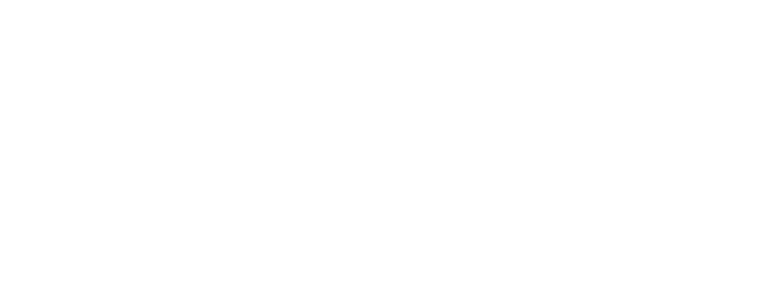 Lopay logo