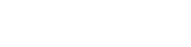 Chameleon Executive Search logo