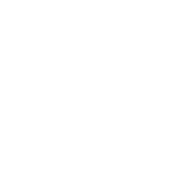 The Rise Group logo