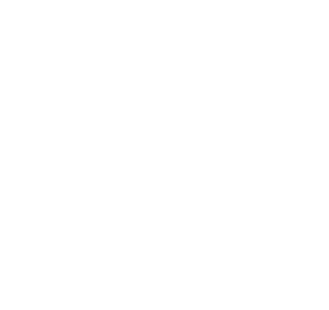 Loyalty Lion logo