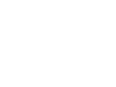 ANDigital logo