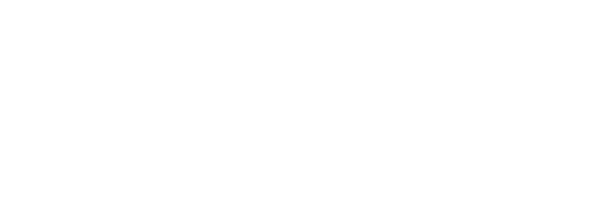 Paid Ai logo