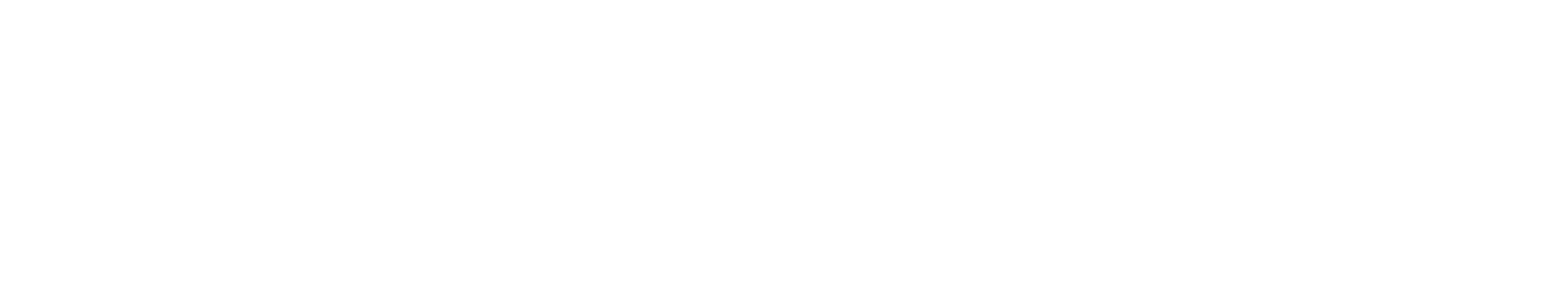 ANDigital logo