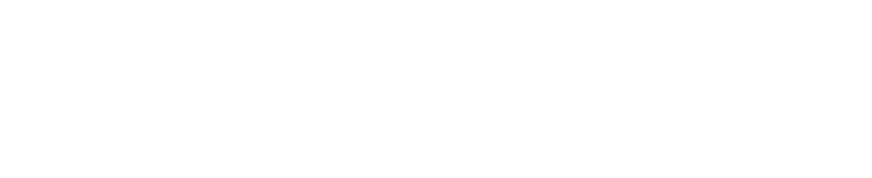 South Pole logo