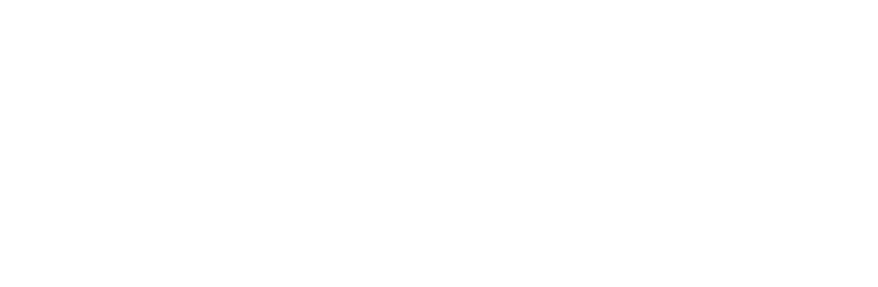 Lightricks Logo