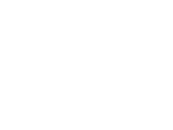 MasterCard Logo