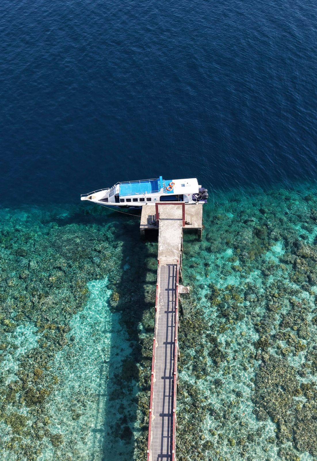 Snorkeling di Pulau Siladen