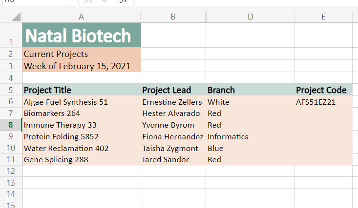 screenshot of excel spreadsheet
