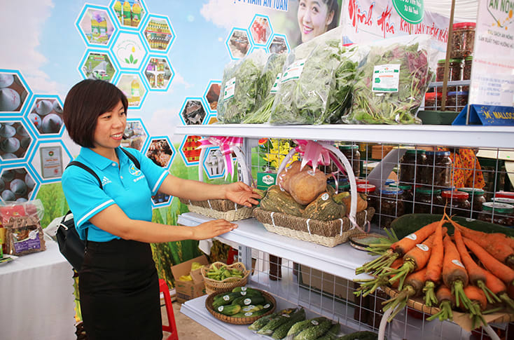 Ban hành Bộ tiêu chí đánh giá, xếp hạng sản phẩm Chương trình OCOP tỉnh Quảng Bình giai đoạn 2018 -...