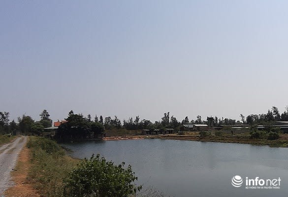 Lưu bản nháp tự động