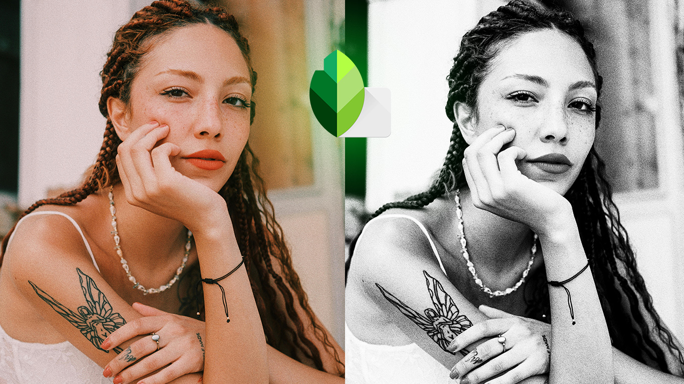 Top 10 Black & White Snapseed QR Presets