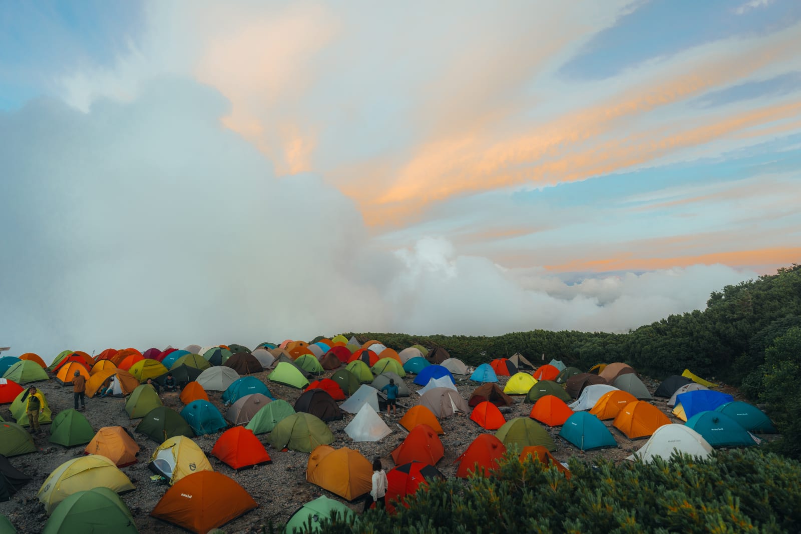 Alpine trail in morning light