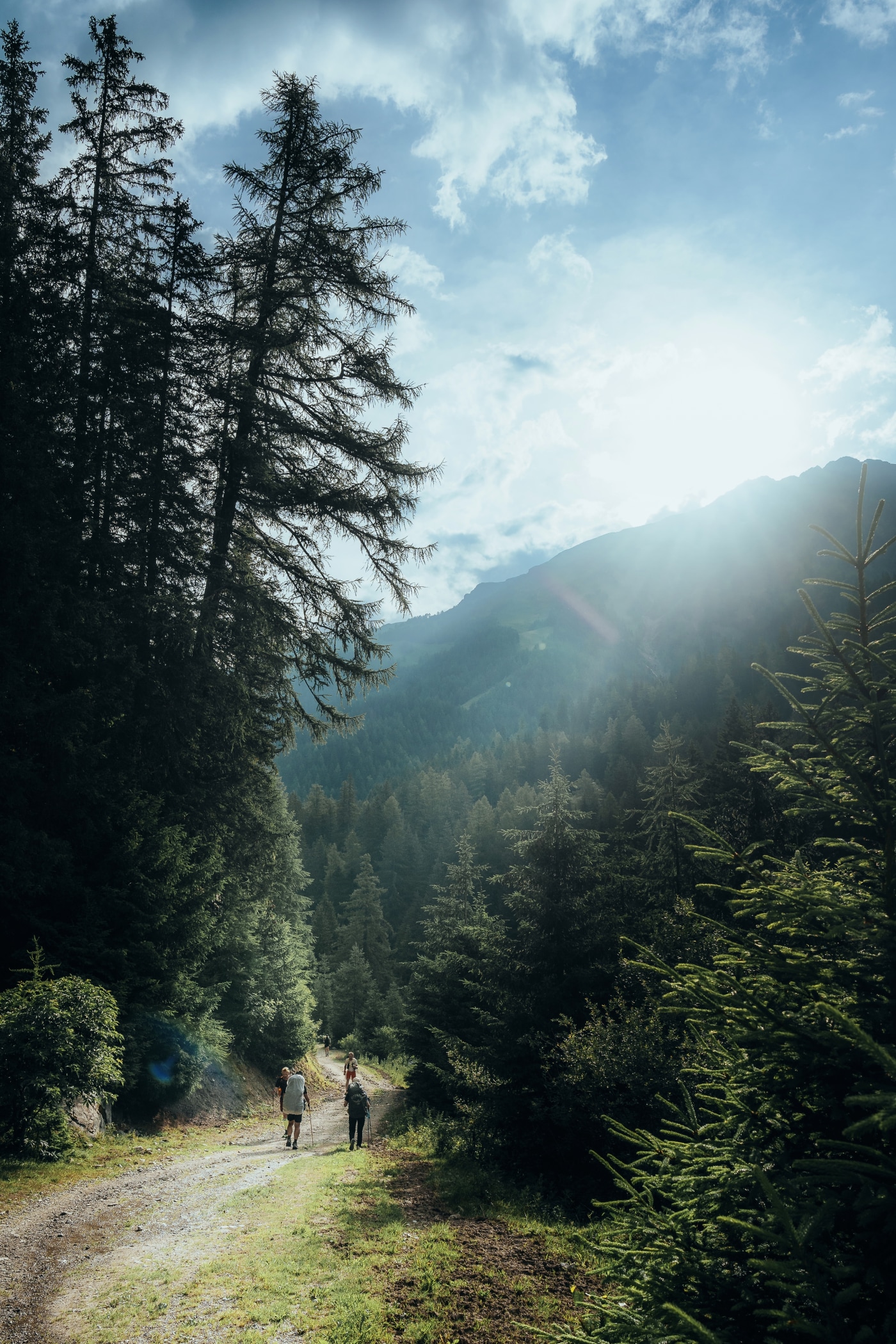 Moment from the trail