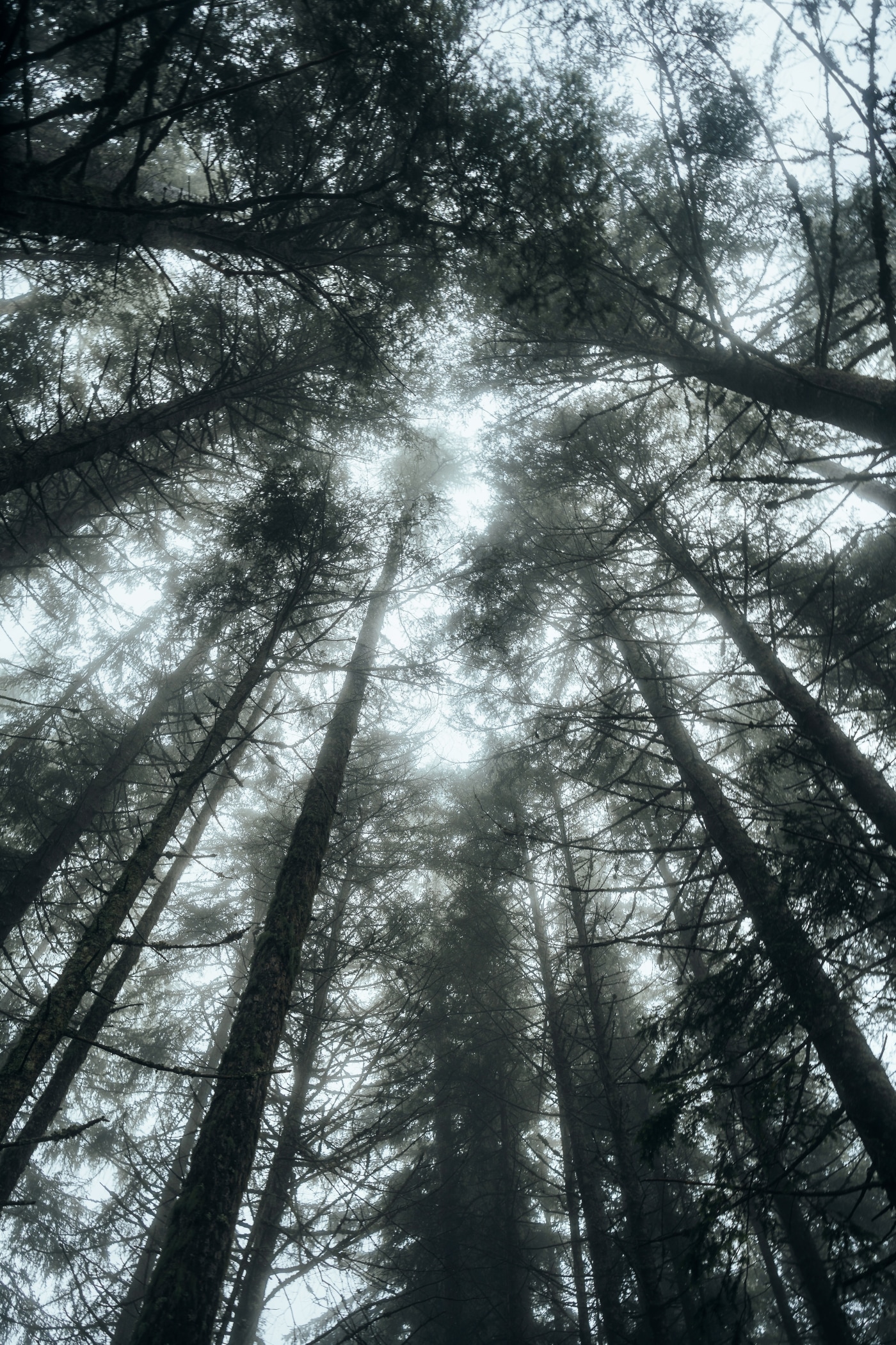 Moment from the trail