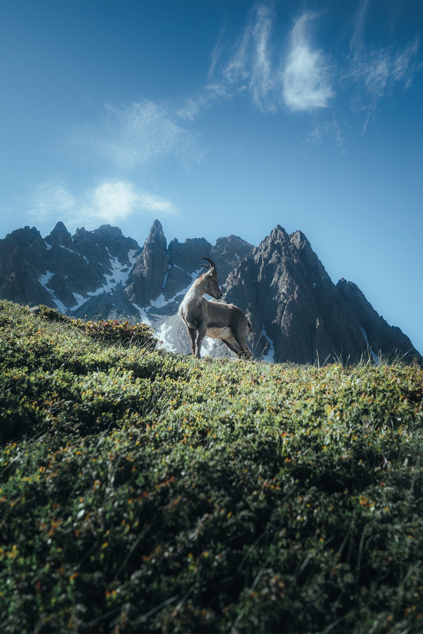 Moment from the trail