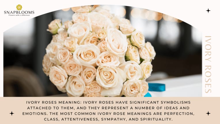 https://res.cloudinary.com/dizexseir/image/upload/c_scale,w_382,h_216,dpr_2/f_auto,q_auto/v1638877779/Ivory-Roses-Meaning.png?_i=AA