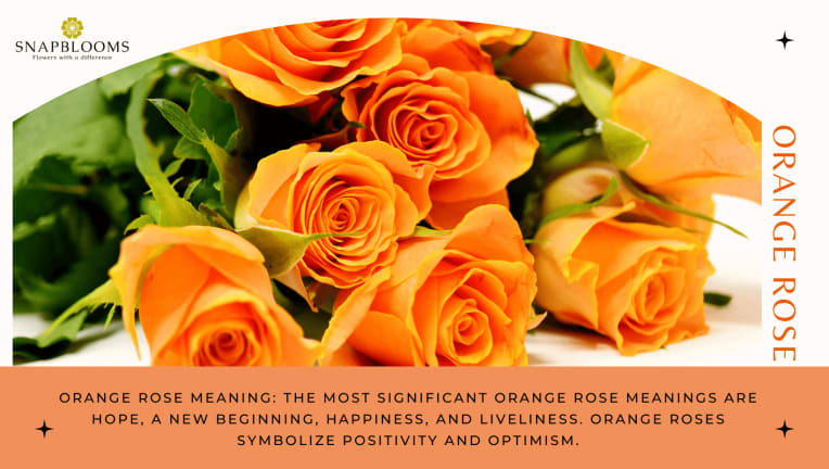 Orange Roses Meaning and Symbolism - SnapBlooms Blogs