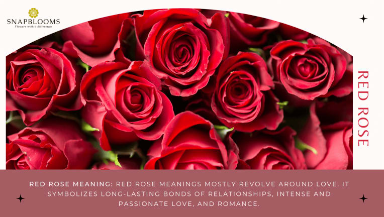 Red Roses: Meaning, Symbolism History - SnapBlooms Blogs