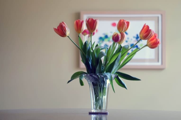 How To Keep Fresh Cut Flowers Alive Longer? - SnapBlooms