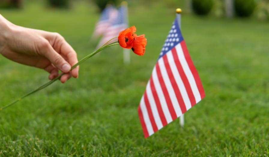 Why you see red poppies around Memorial Day - WTOP News