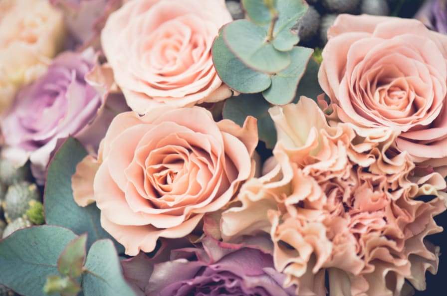 Tonic Blooms