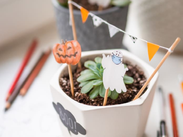 creative with plants and flowers