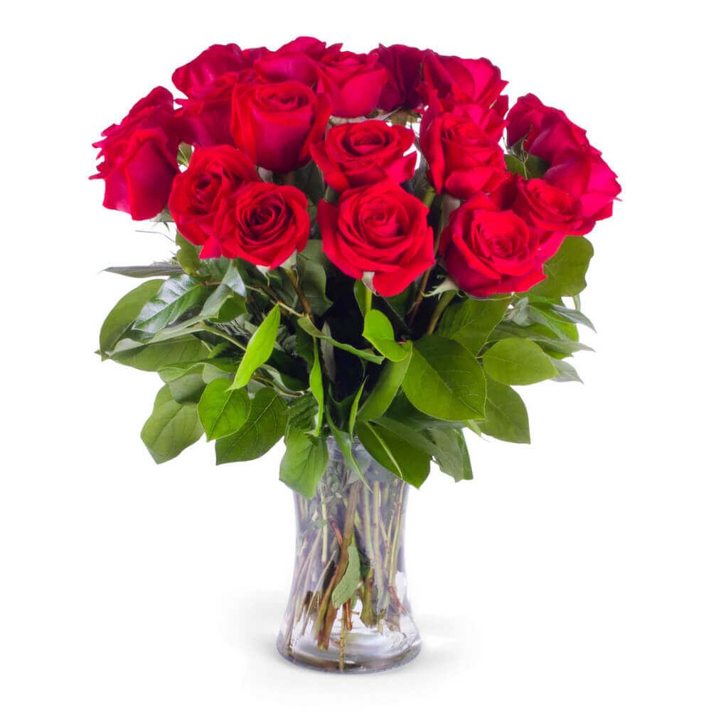 Valentine's Day: Love in Spring, Roses and Carnations Vase – Fresh Flowers  Orlando