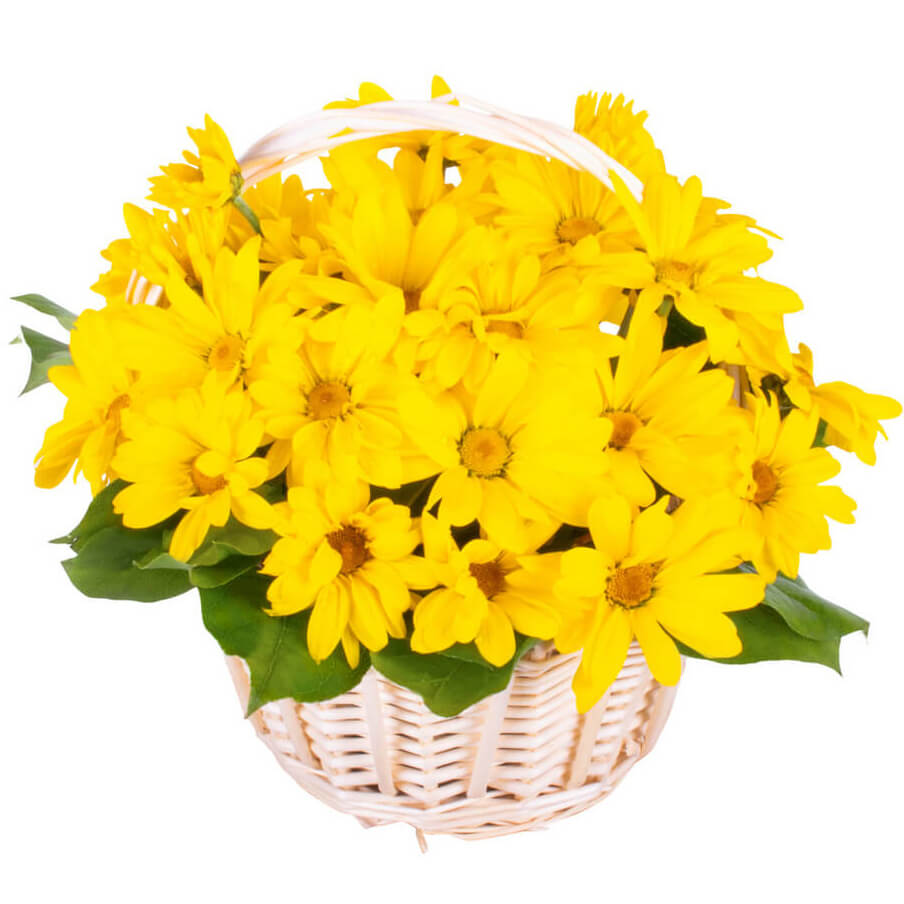 Kinston Florists FREE Flower Delivery in Kinston, North Carolina