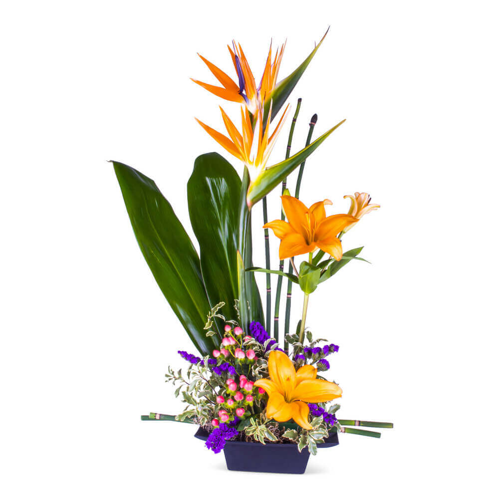 Denver Florists FREE Flower Delivery in Denver, CO Send birds of