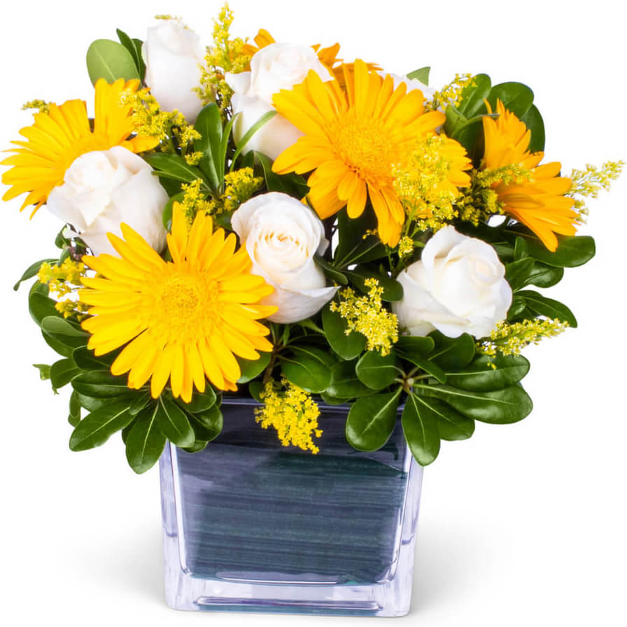 Get Well Flower Delivery Green Bay WI Bee Enchanted Florist