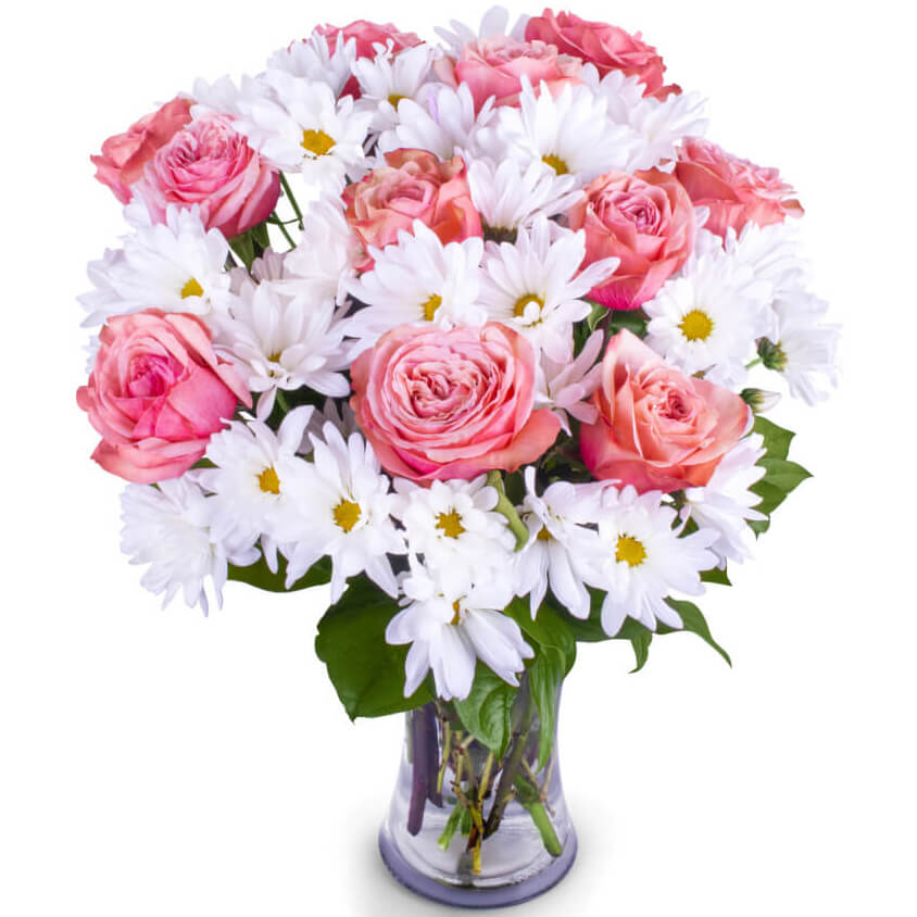 Roses Flower FREE Delivery Ottawa ON Alta Vista Flowers Ottawa, ON