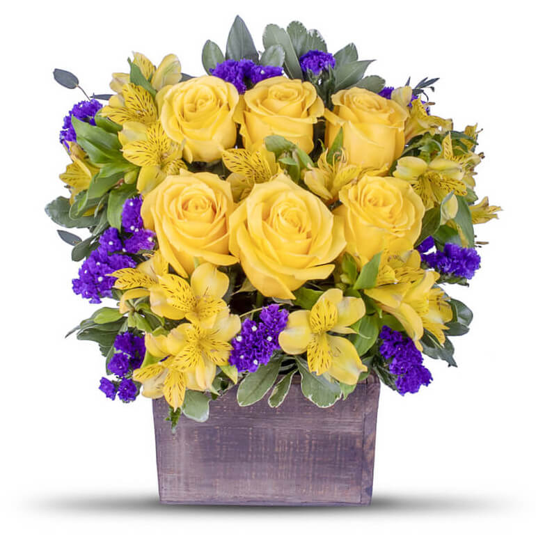 purple and yellow rose bouquet