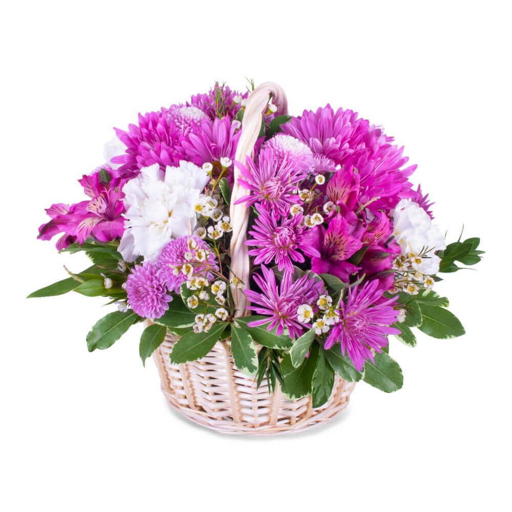 Purple Basket