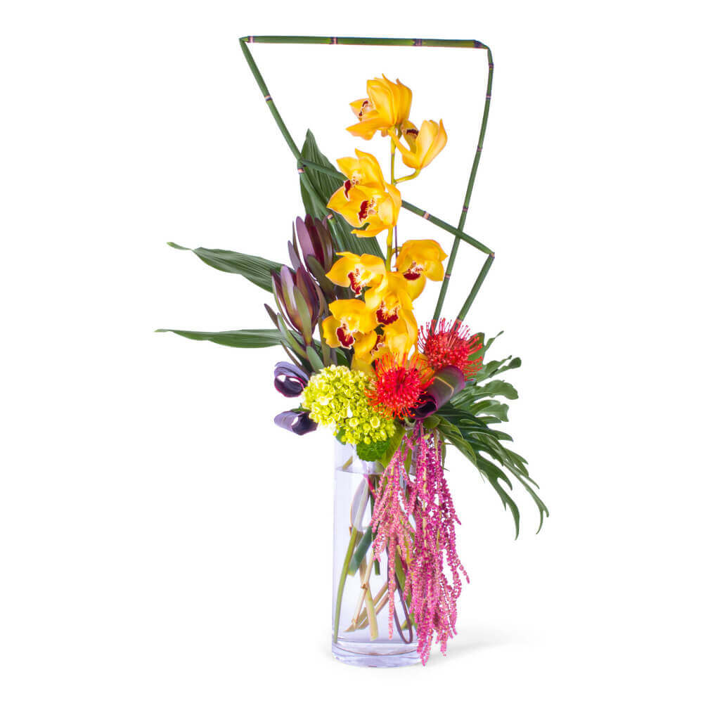 Modern Cymbidium Orchids Bouquet Flower Delivery Fairfax VA - Greensleeves  Florist