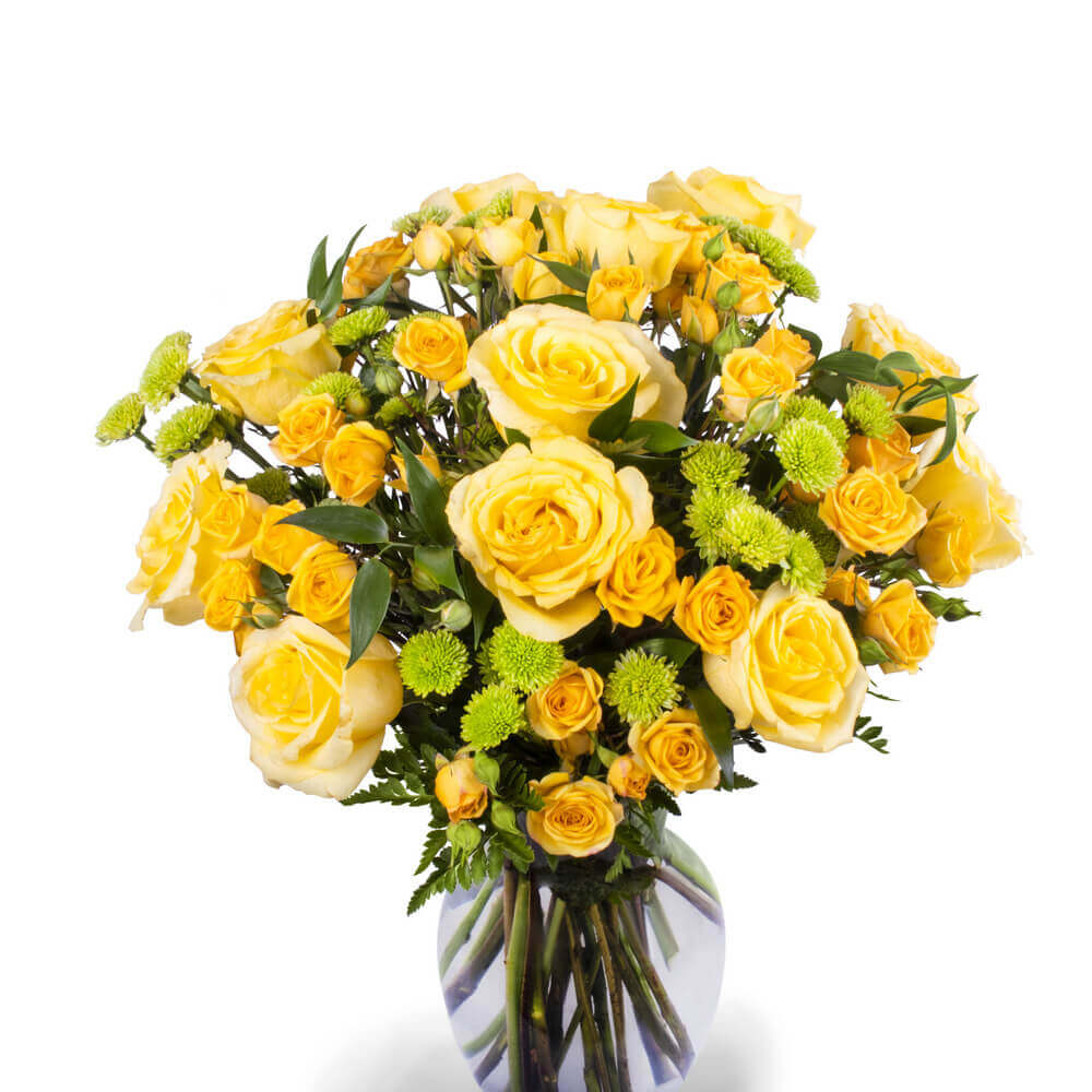 beautiful images of yellow roses