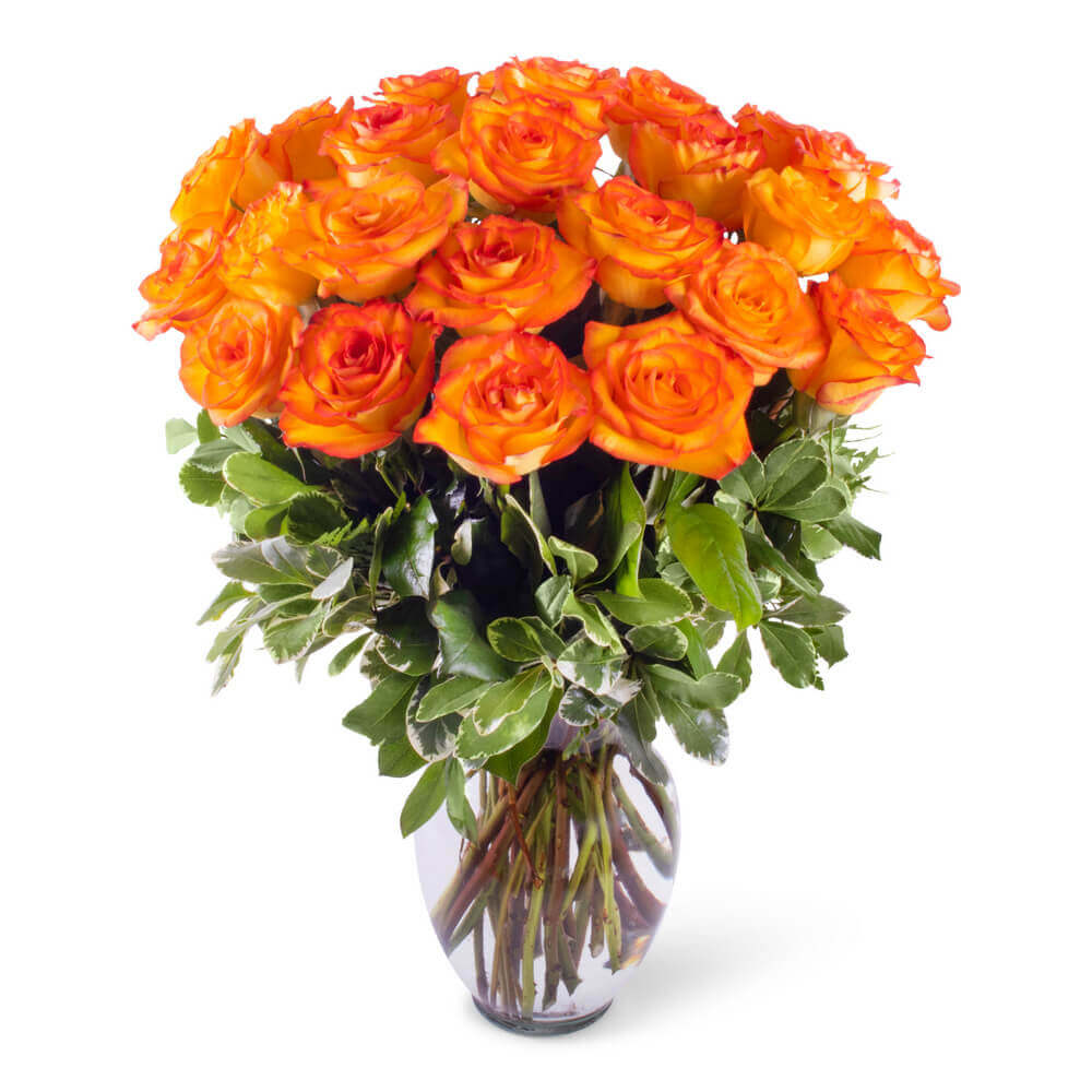 Orange Roses (25 Stems per Bunch)