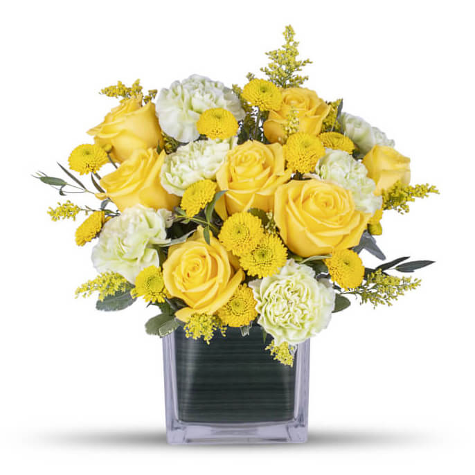 613-12-07 1/3 Brick Cage With Aquafoam - 12/Cs – Yellow Rose Floral Supply