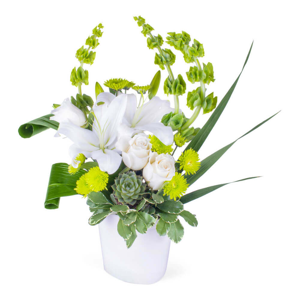 Lily & Succulent Arrangement Flower Delivery Green Bay WI Bee