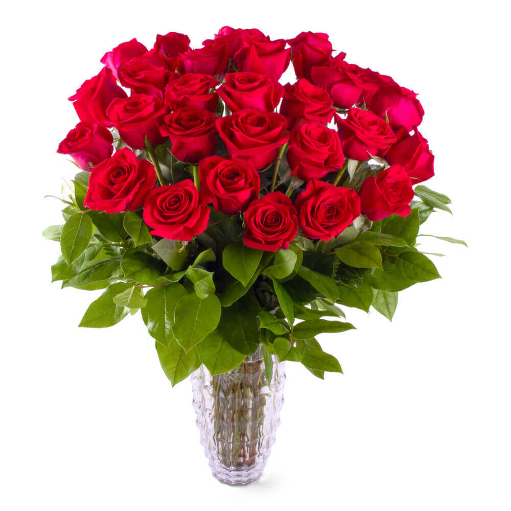 Surrey Gentleman subtropisk Timeless Red Roses Flower Delivery Newark DE - Kirk's Flowers Inc.