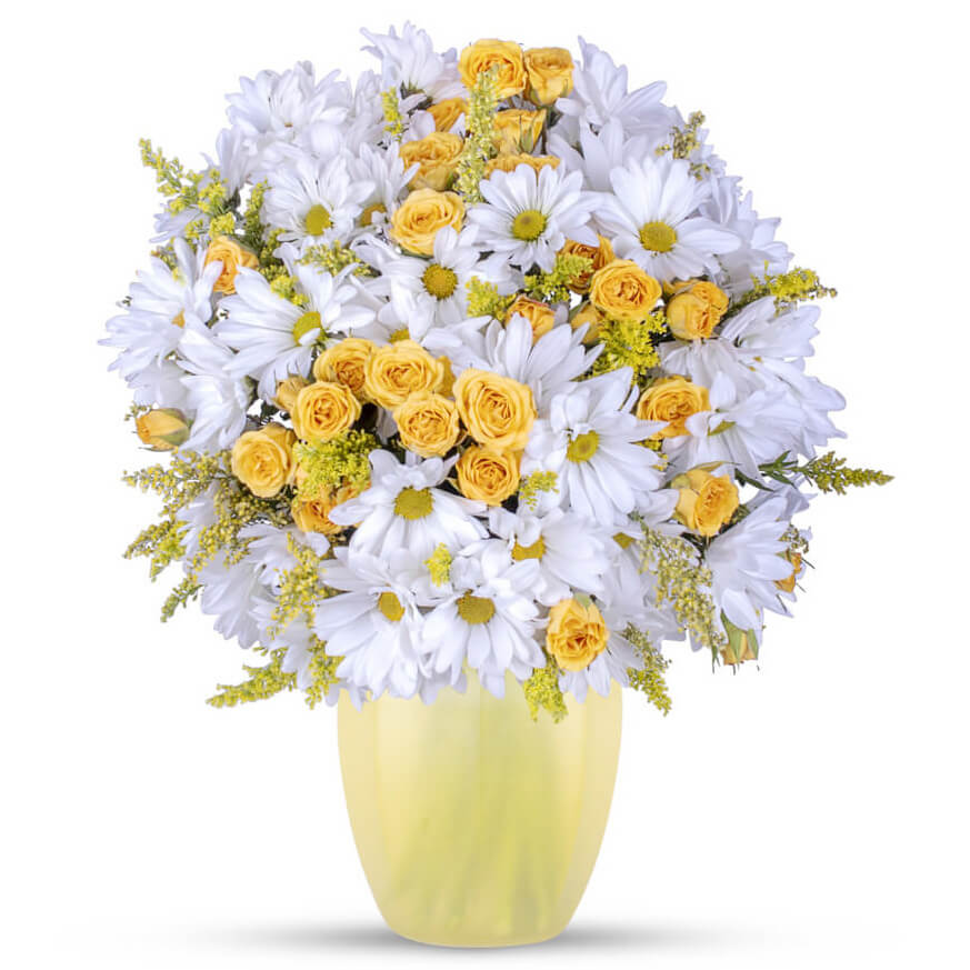 SnapBloom's Collection - Cheerful Daisies