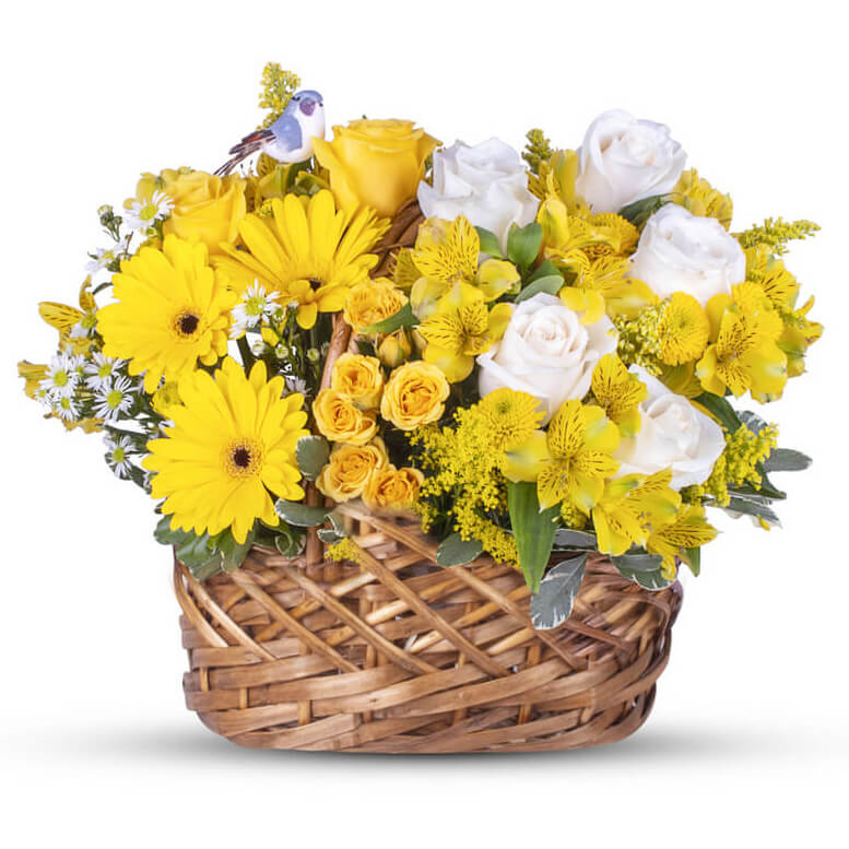 Basketful of Sunshine! Flower Delivery Newark DE Kirk's Flowers Inc.