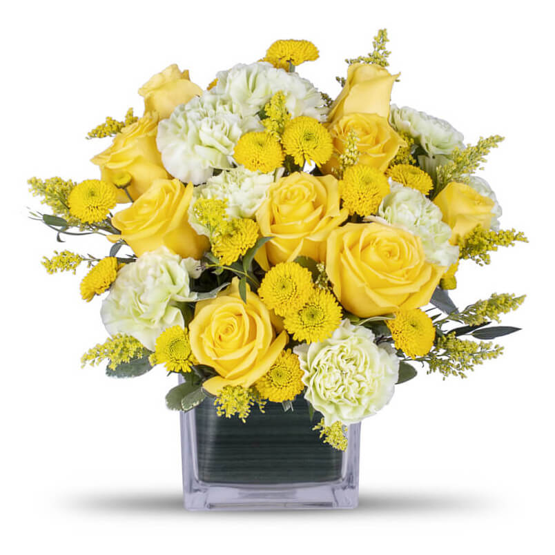614-12-07 2/3 Brick Cage w/ Aquafoam - 12/Cs – Yellow Rose Floral Supply