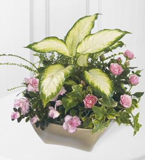 The FTD® Garden of Grace™ Planter Flower Bouquet