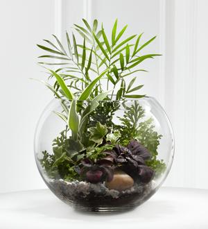 The FTD® Woodland Greens™ Terrarium Flower Bouquet