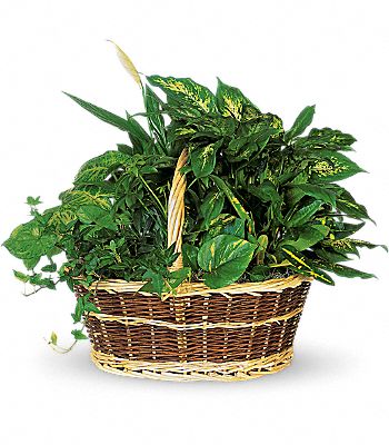 Large Basket Garden Flower Bouquet