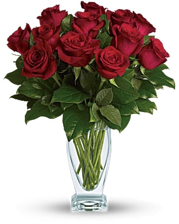 Rose Classique - Dozen Red Roses Flower Bouquet