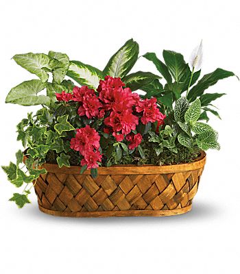Plants Galore Flower Bouquet