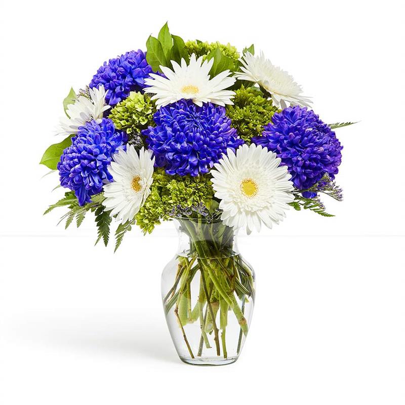 Pinch of Purple Flower Delivery London ON Forest of Flowers